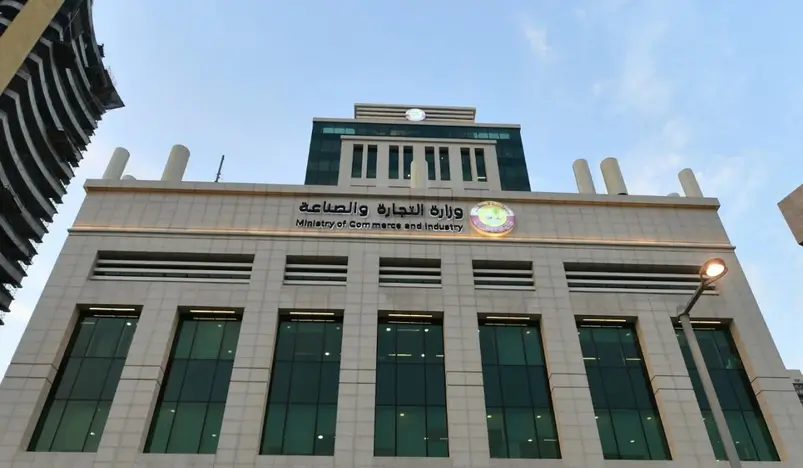 Mechanism for Establishing and Liquidating Special Companies for the FIFA World Cup Qatar 2022